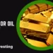 Ghana's Gold for Oil Policy image
